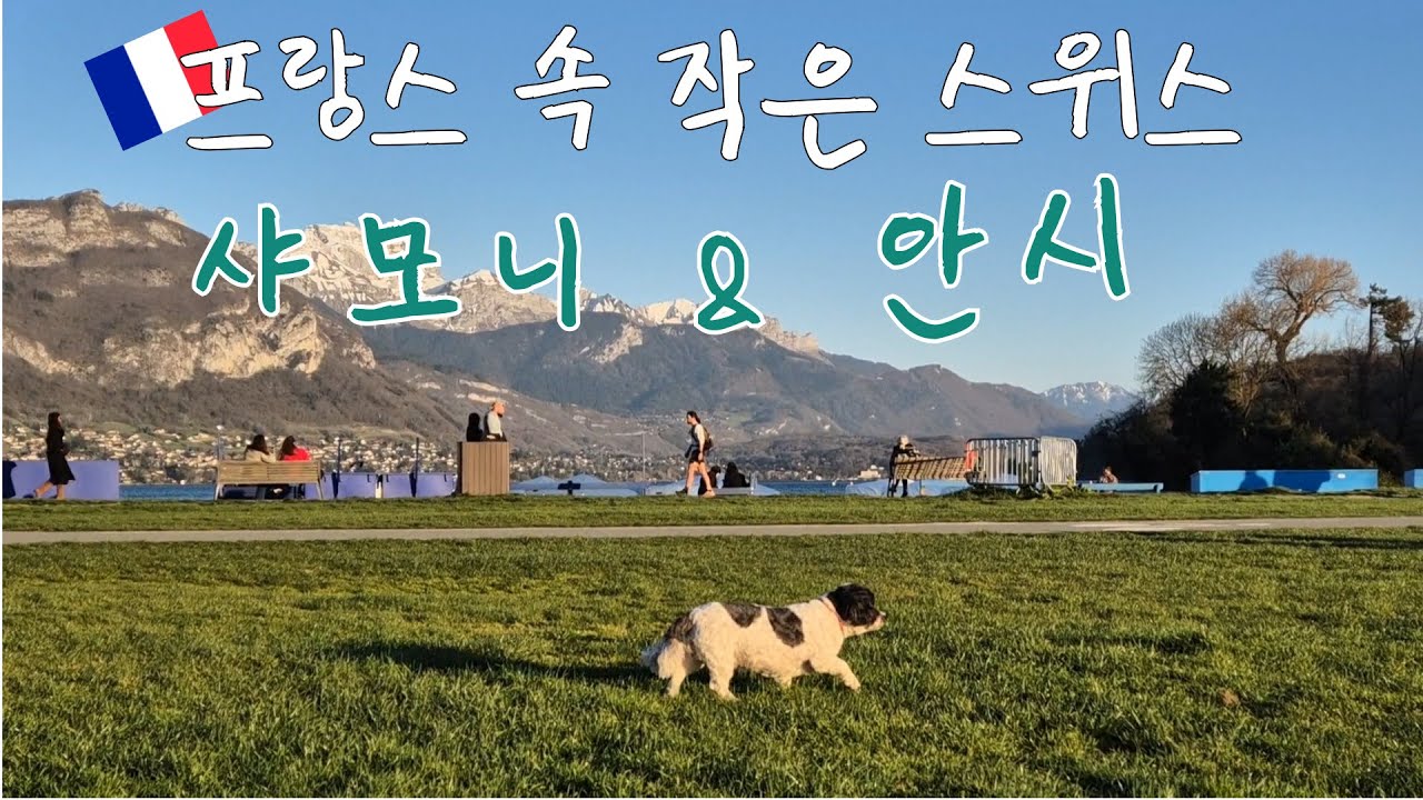 [프랑스 🇫🇷 안시 샤모니 여행] 알프스 감성 가득한 샤모니 안시 맛집, 카페, 숙소 총정리
