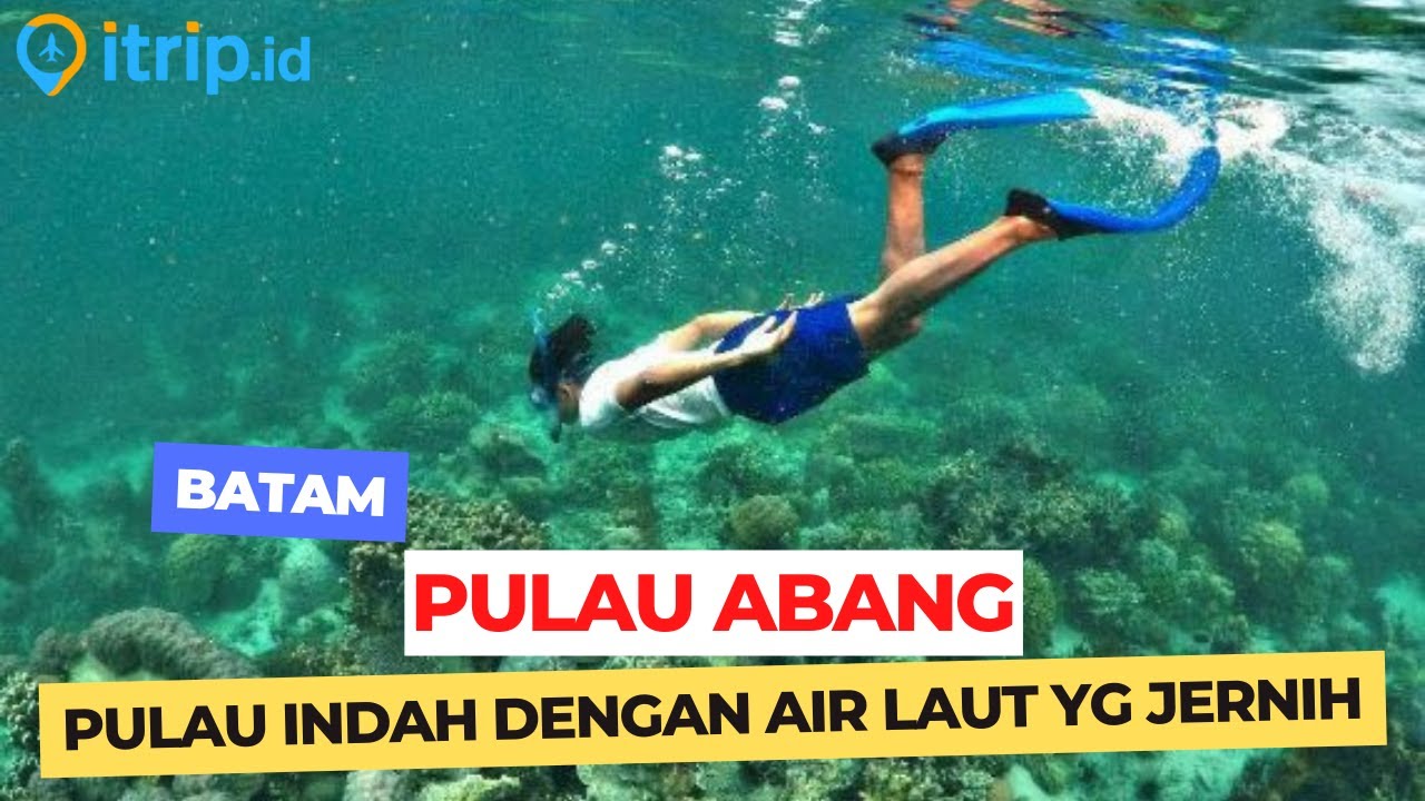 Pulau Abang Batam, Surga Snorkeling dengan Blue Coral yang Langka