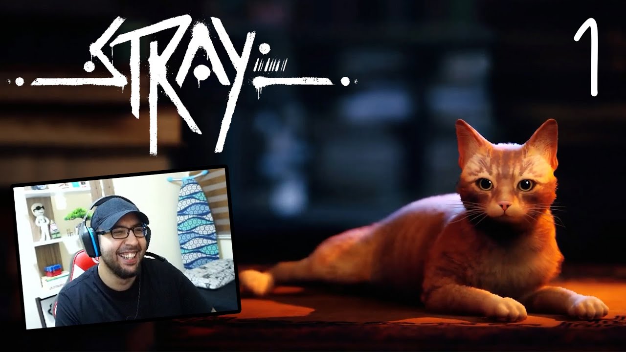 Yalnız Bir Kedinin Hikayesi... - Stray #1