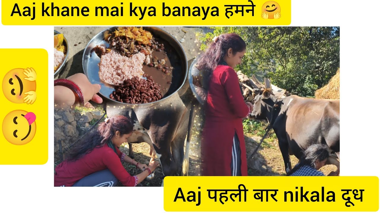 हमारी गाय kitni acchi hai 🤗 aaj maine bhi nikala दूध 🥰// Raveena vlogs UK05 💕🧿