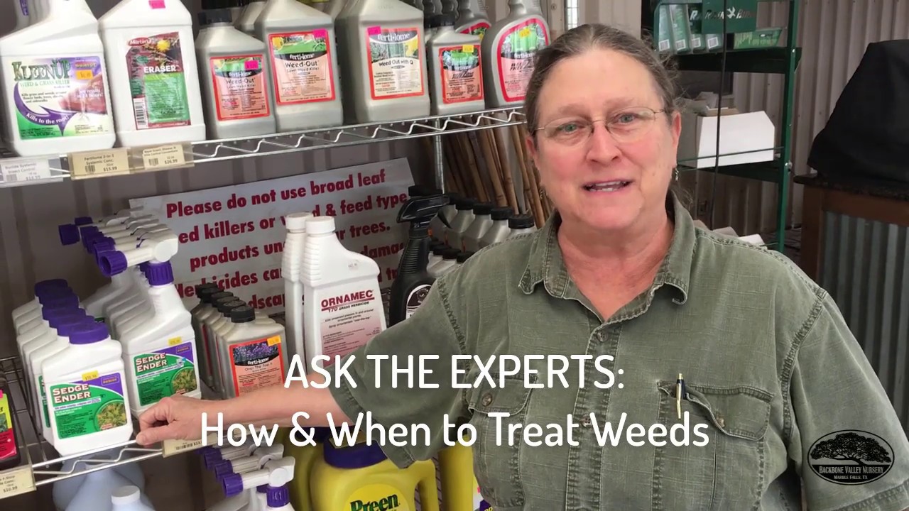 How & When to Treat Weeds