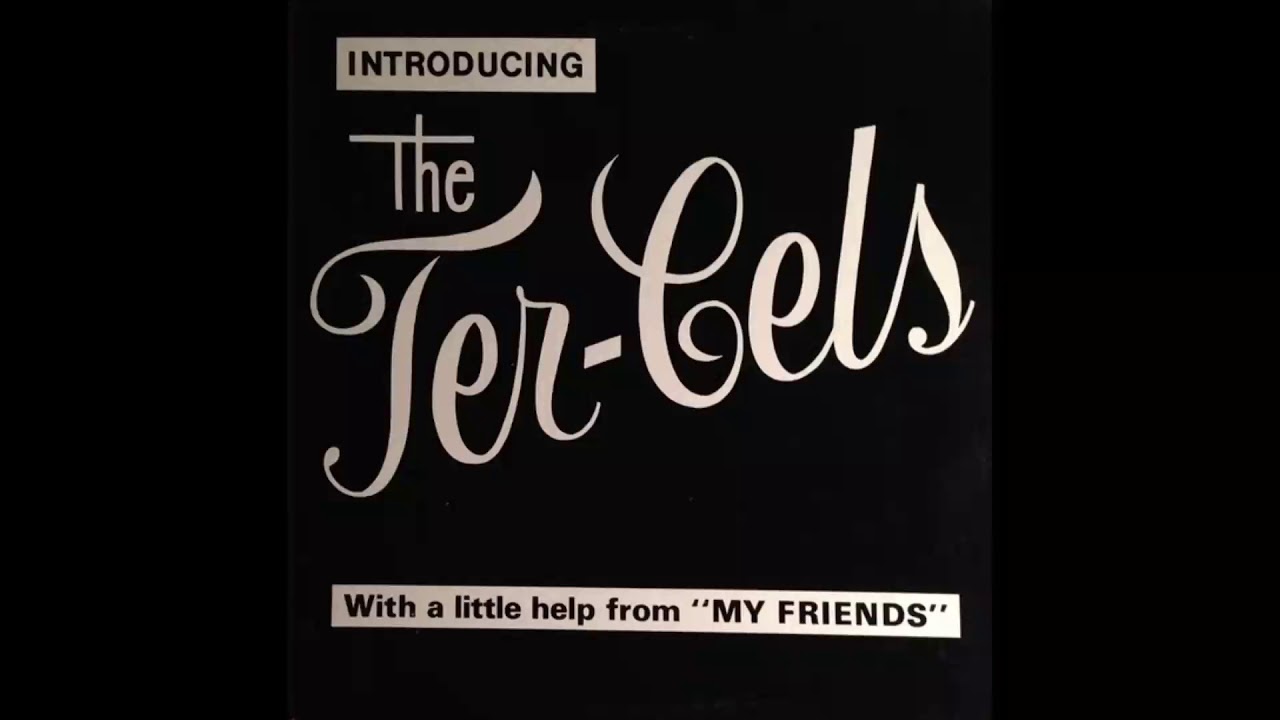 Nasty Rare Lounge Funk...The Ter-Cels - Use Me (Sample)