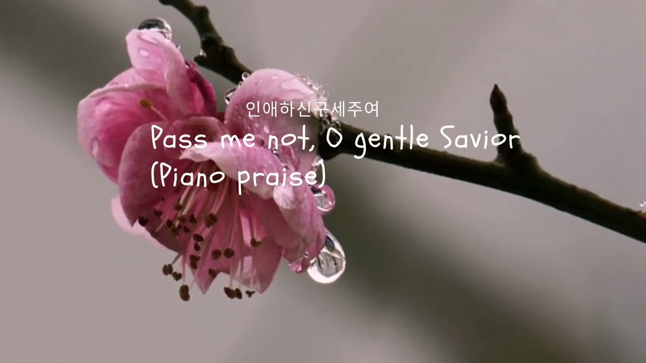 Pass me not, O gentle Savior | 인애하신 구세주여 | hymn arrangement | arr.& performed by AelimLee | 피아노찬양