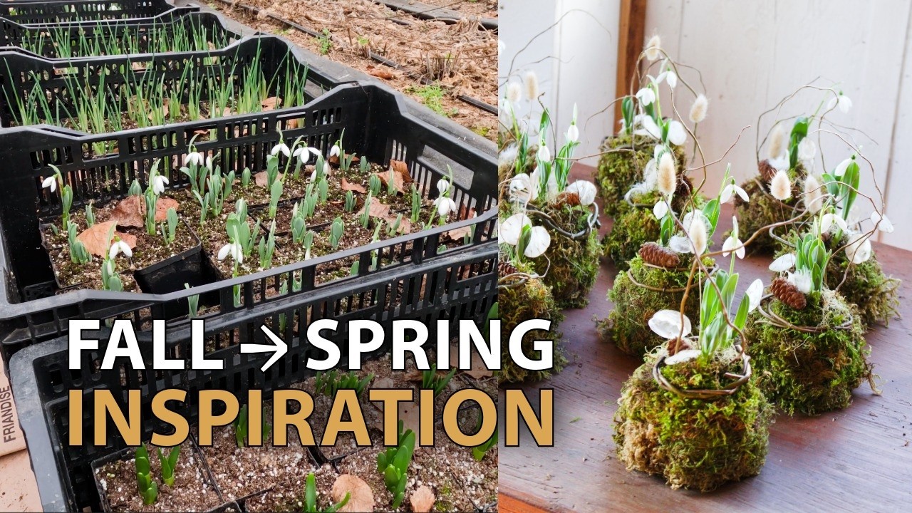 From Fall Planting to Spring Sales: Bulb Crop  & Design Update