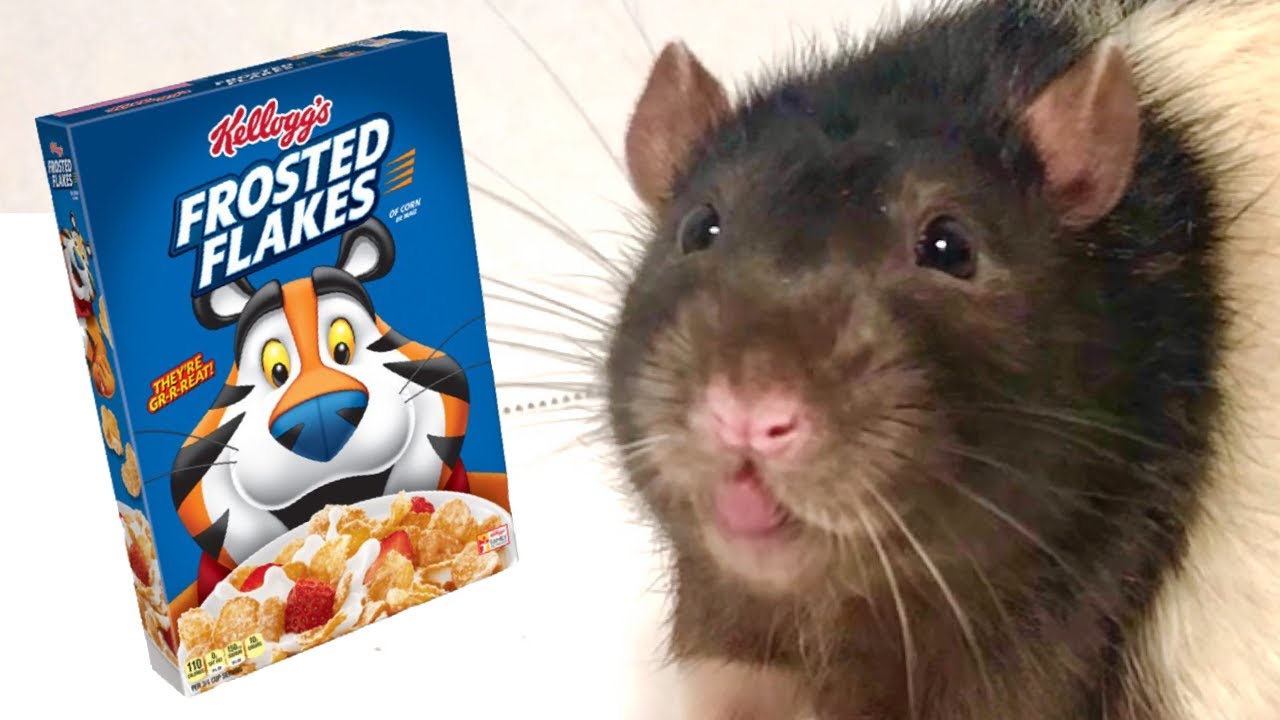 FROSTED FLAKE REVIEW