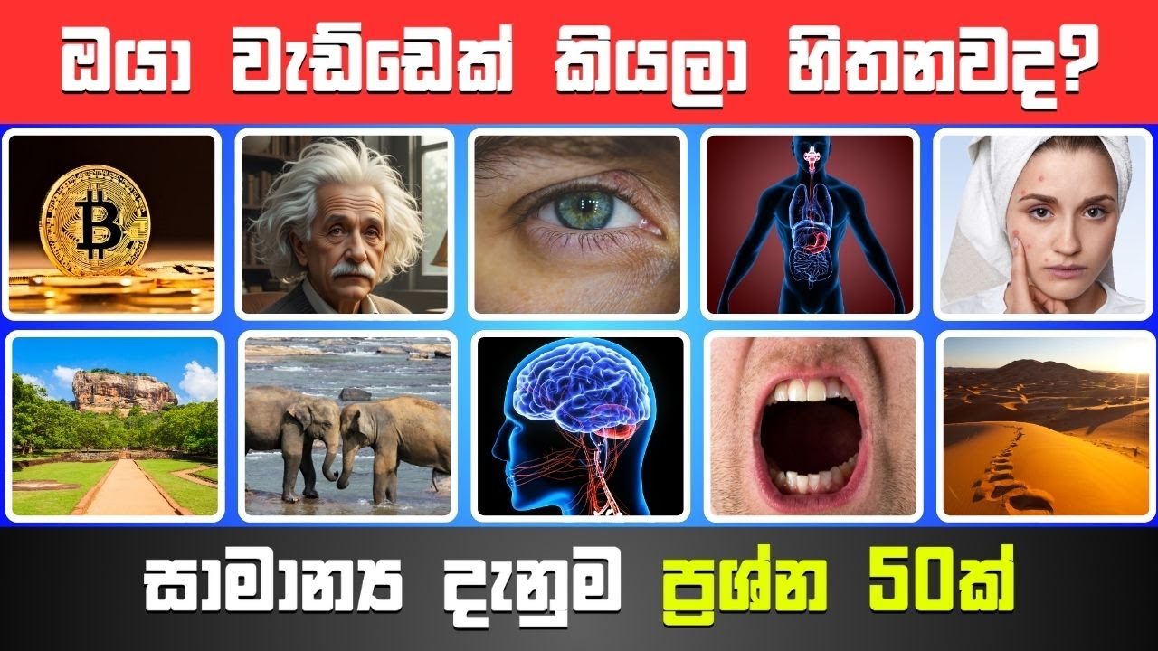 ඔයා මොළකාරයෙක්නම් ​මේ සාමාන්‍ය දැනුම ප්‍රශ්න වලින් 40ක්වත් දන්නවා😇 |  Smart Test Sinhala