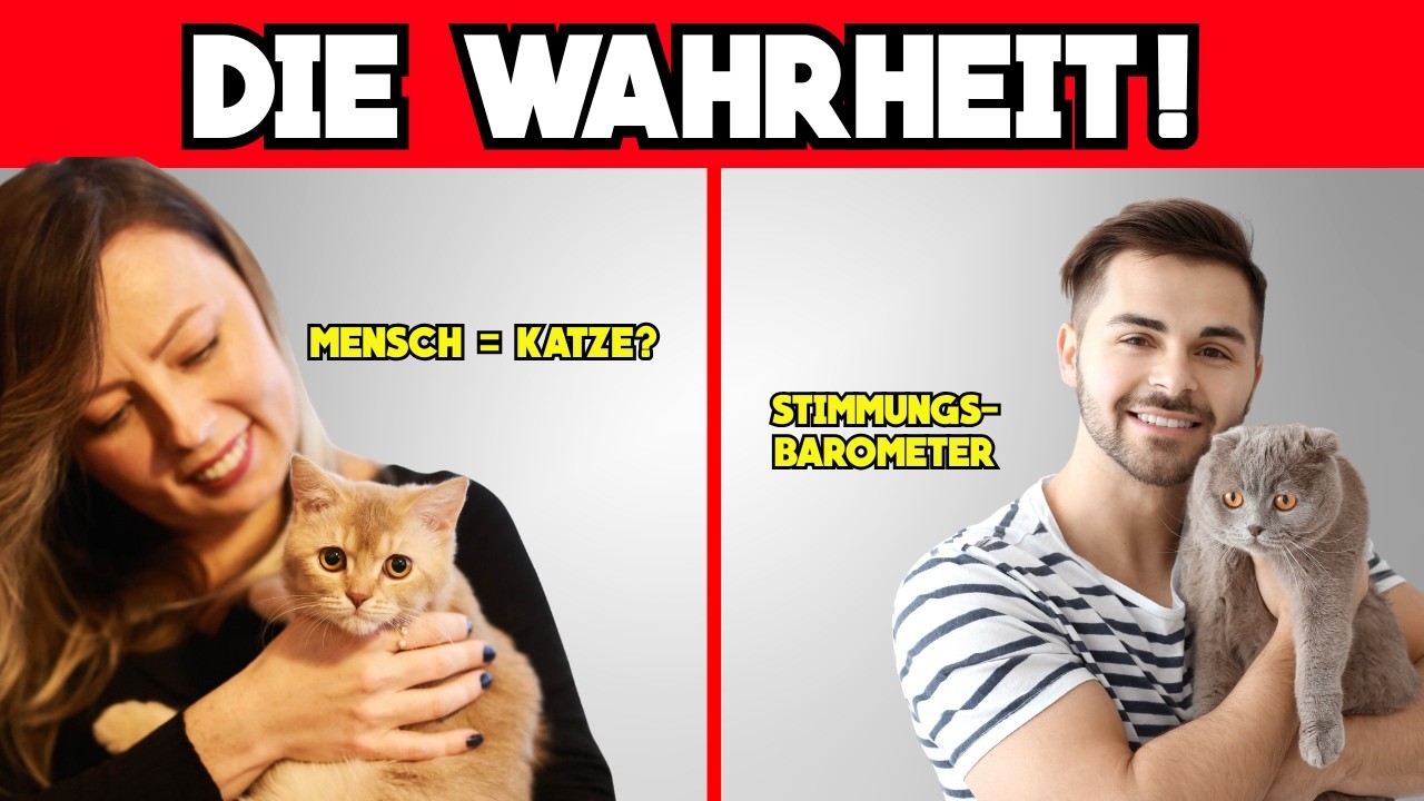 Wie Katzen Menschen sehen &ndash; Unfassbare Geheimnisse, die JEDER Katzenhalter kennen muss!⚡️