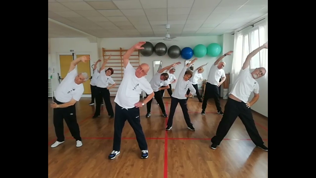 TAIJI QUAN o TAI CHI ..... che cos'è?