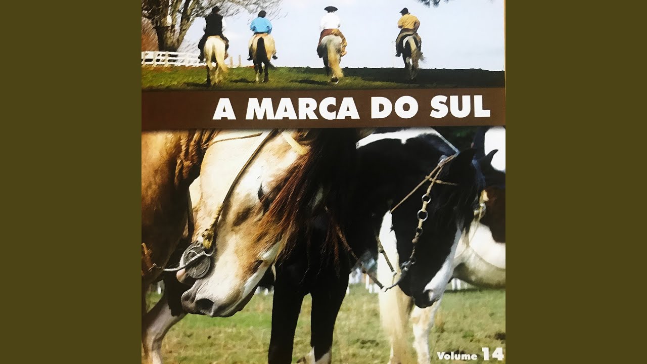 Não Nego a Raça