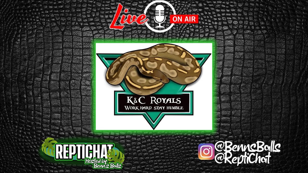 ReptiChat #Ep 1 - Kay & Chris from K&C Royals