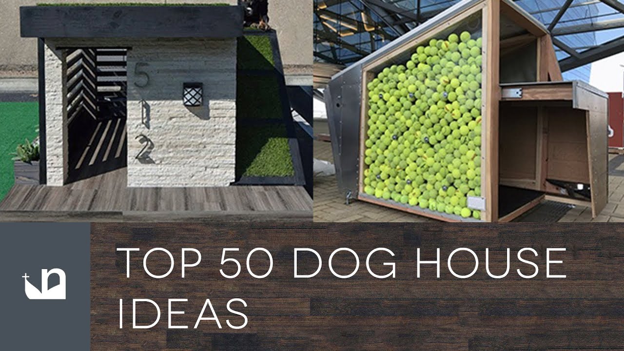 Top 50 Dog House Ideas