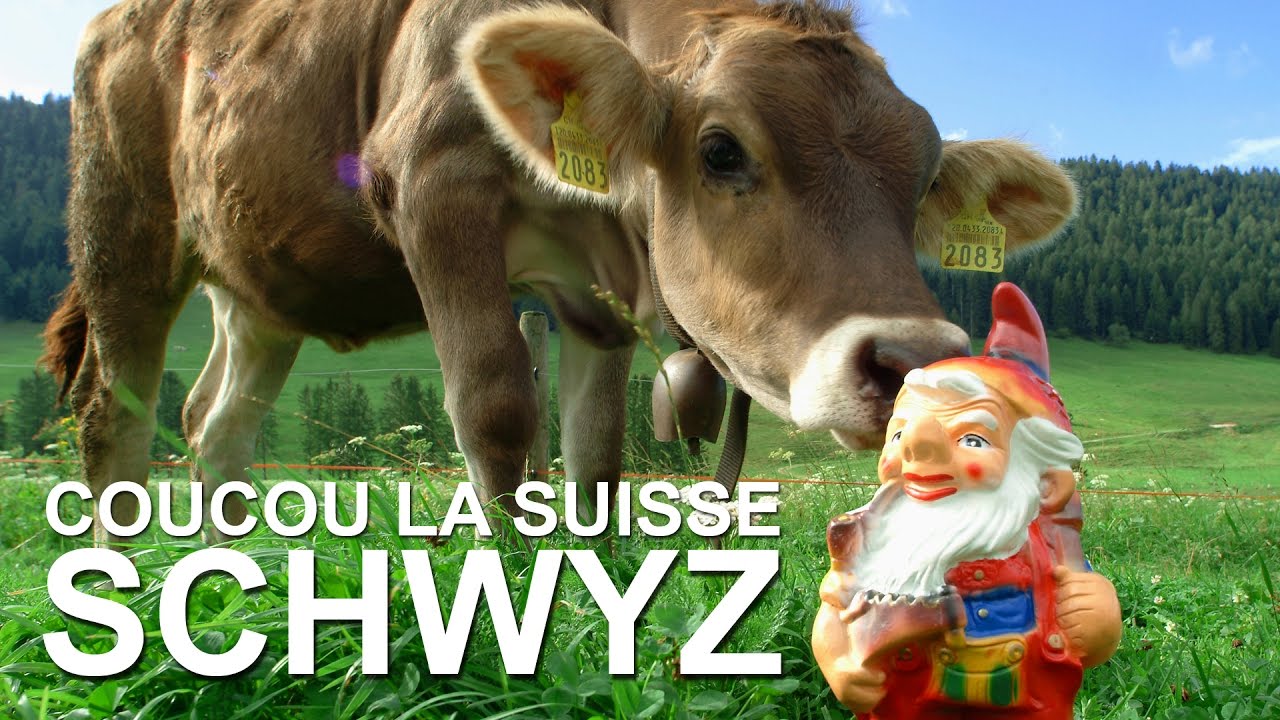 Coucou la Suisse : Schwyz, Einsiedeln, Goldau, le Mont Rigi et Gersau