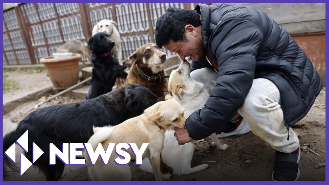 Why This Ukrainian Powerlifter Rescues Abandoned Pets