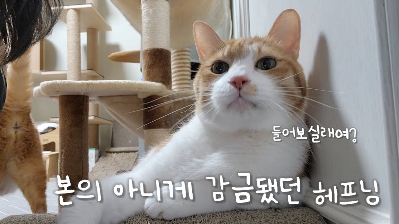 본의 아니게 감금됐던 이야기...들어보실래요?