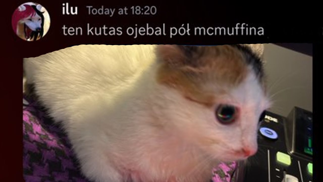 Rurka i przygoda z McMuffin