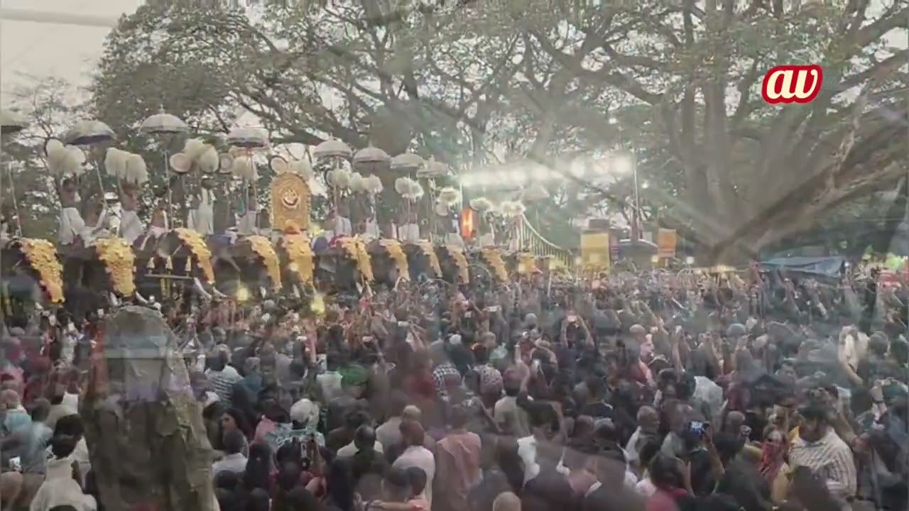 Manapullikavu vela Palakkad #trending #viralvideo 