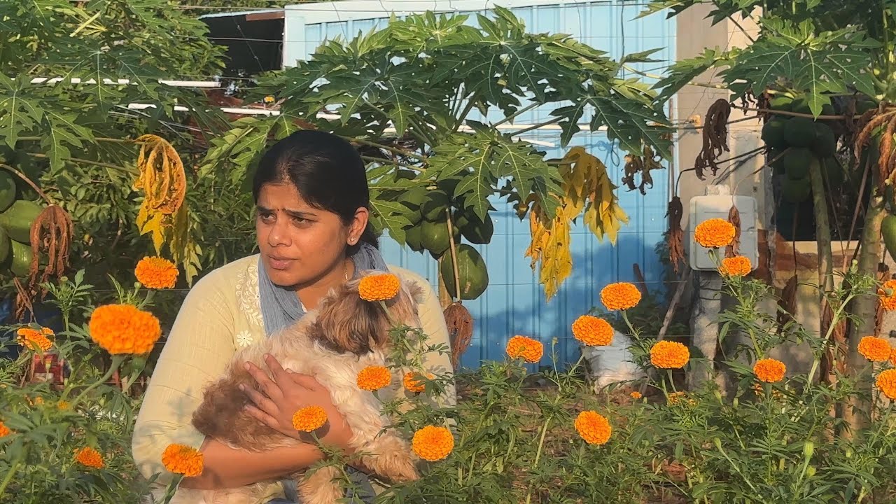కూరగాయ విత్తనాలు వేశాము|5 అంచెల బ్లాక్ లో మిస్ అయిన మొక్కలుపెట్టాము|BLikeBindu