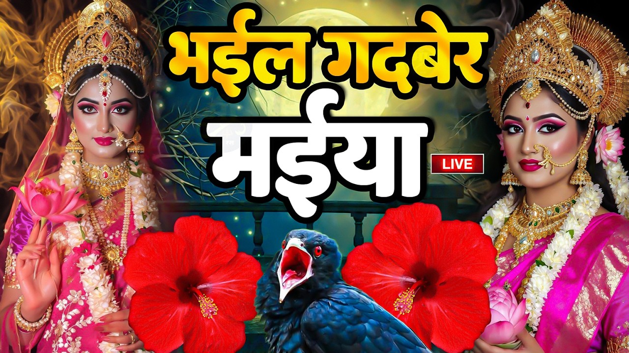 न्यू नवरात्री स्पेशल🌺| Devi Geet 2026 | Navratri Devi Geet | Top 10 Devi Geet