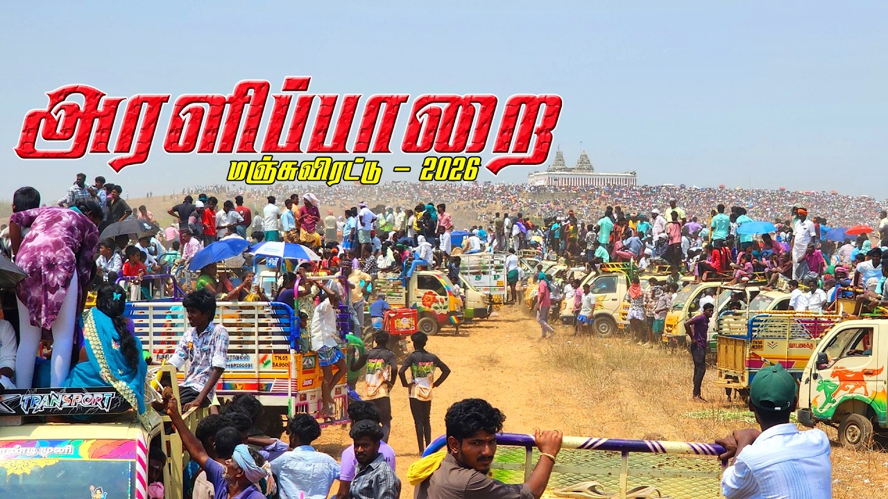 அரளிப்பாறை மஞ்சுவிரட்டு 2026 | Aralipparai Manjuvirattu 2026 | Local Media