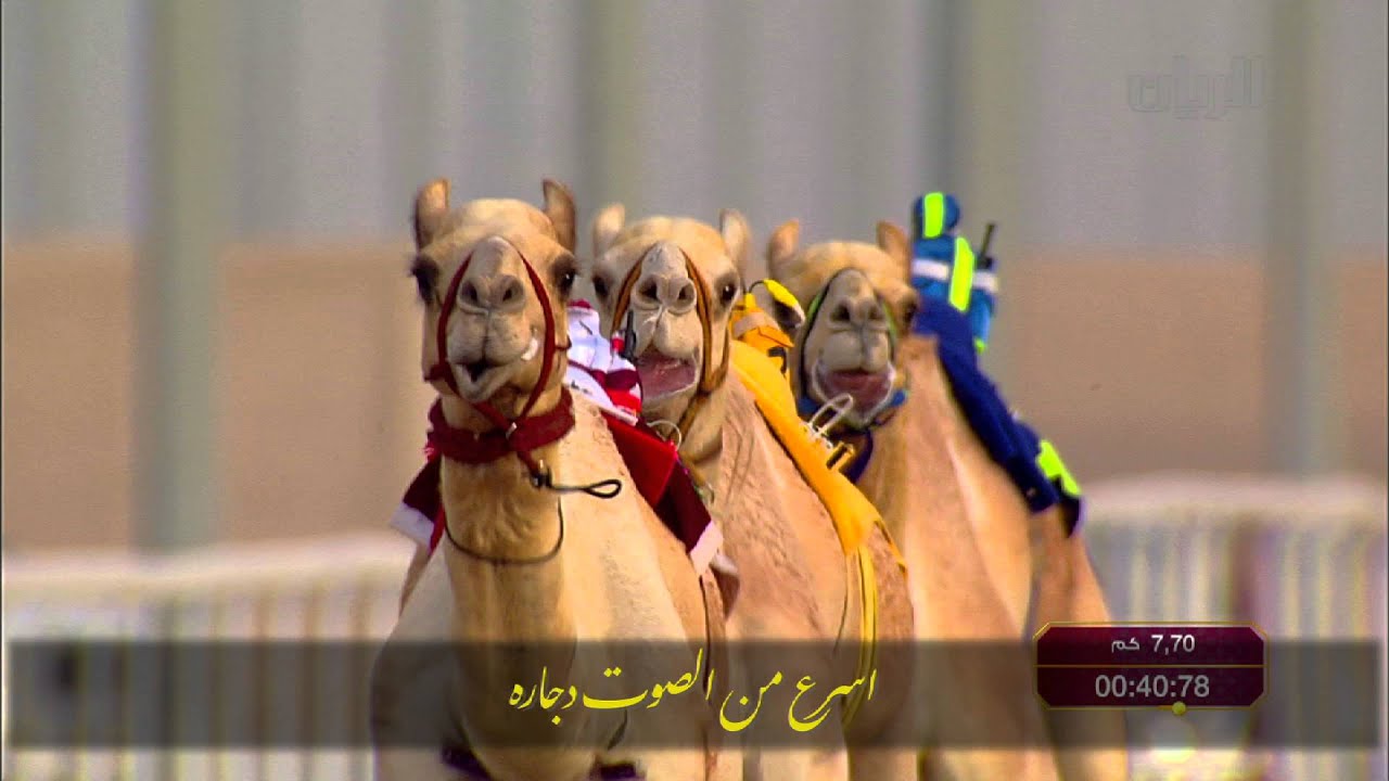 ناصر المسند | شيلة الفنان خالد عبدالرحمن والشاعر ت