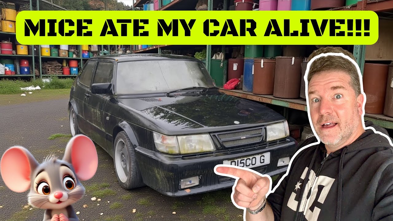Этот найденный в заброшенном сарае Saab 900, изъеденный мышами, заслуживает новой жизни.
