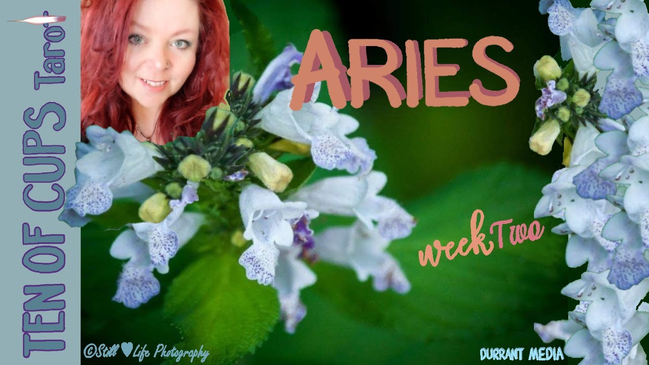 Aries- Let's spy on your person! 😲