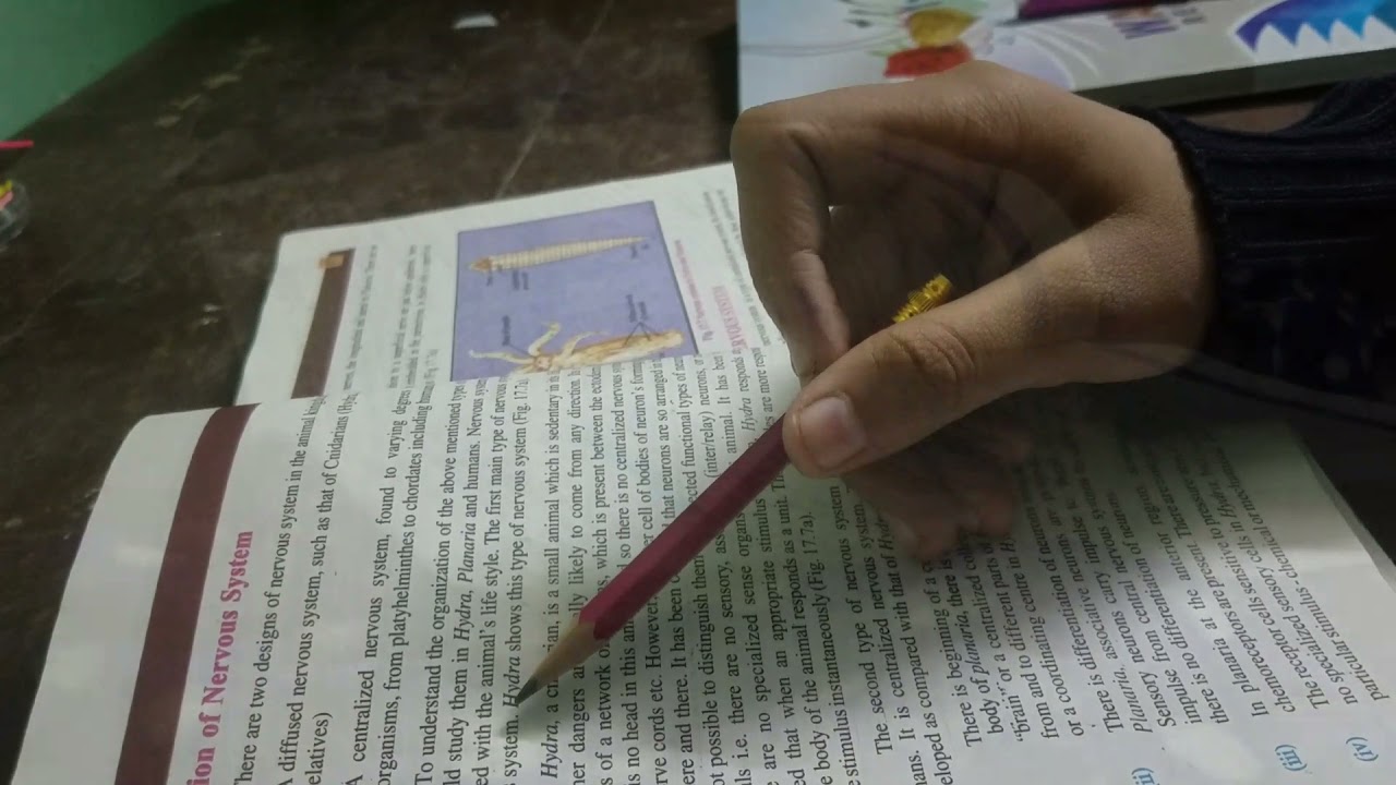 test prepration|| mdcat/2022|| biology