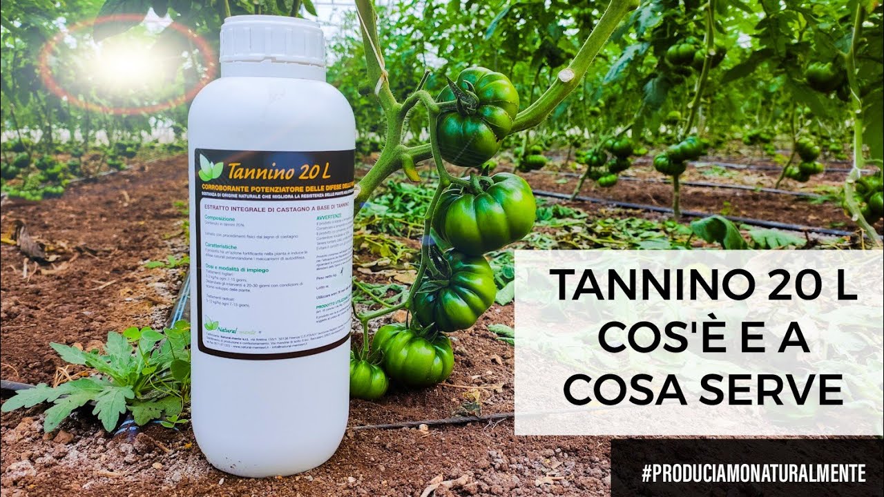 Tannino 20 L Corroborante Bio