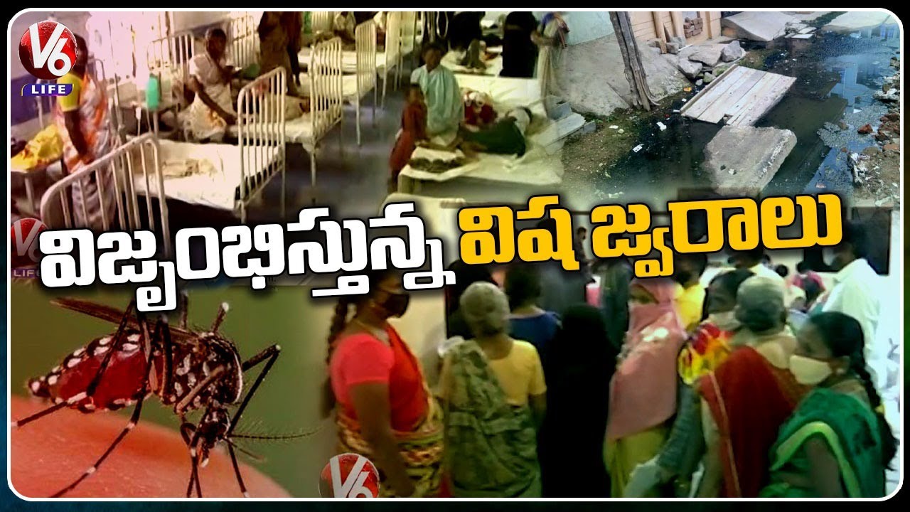 Public Queue To Hospitals With Spread Of Seasonal Diseases | V6 Life