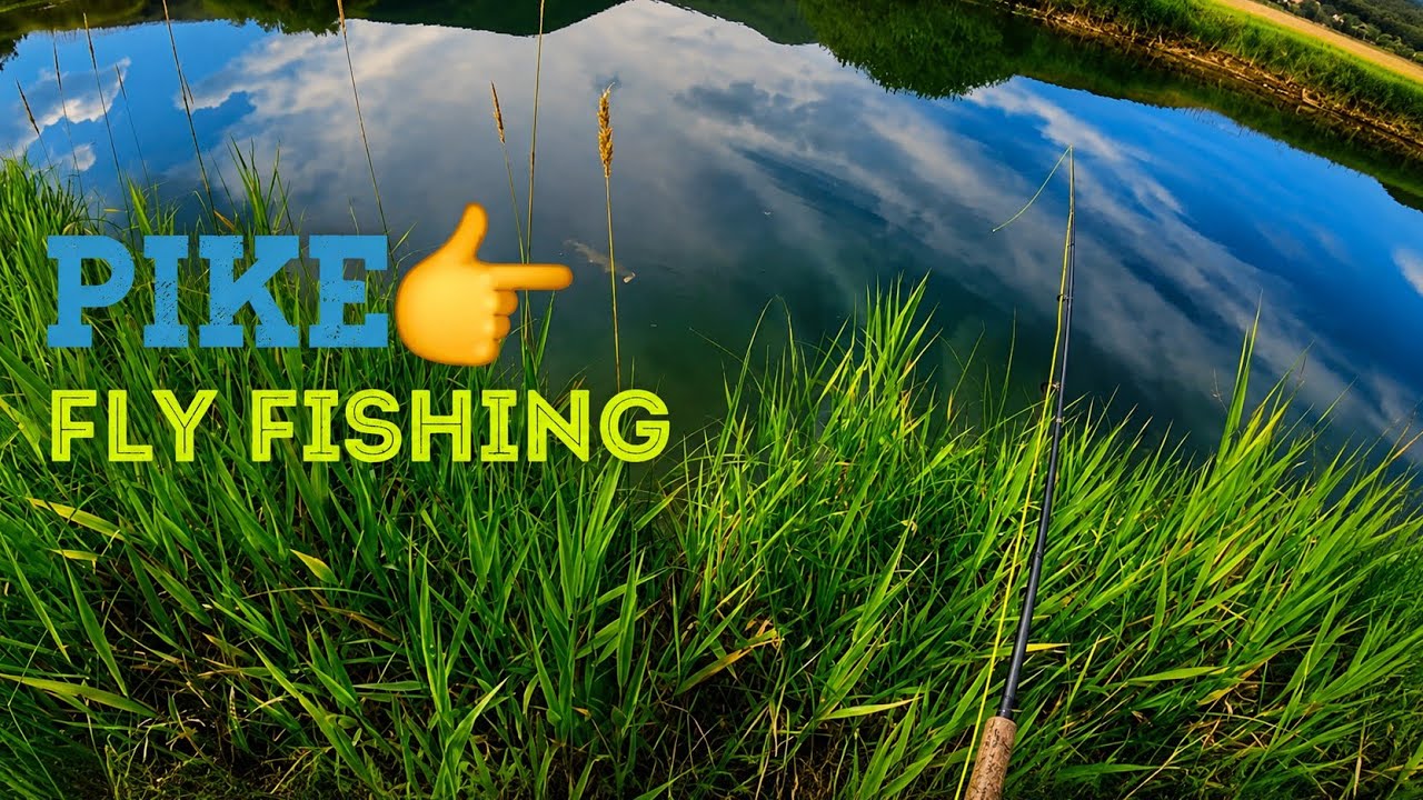 Pike fly fishing(Following and strikes)-Pike on the fly-Fly fishing Slovenia