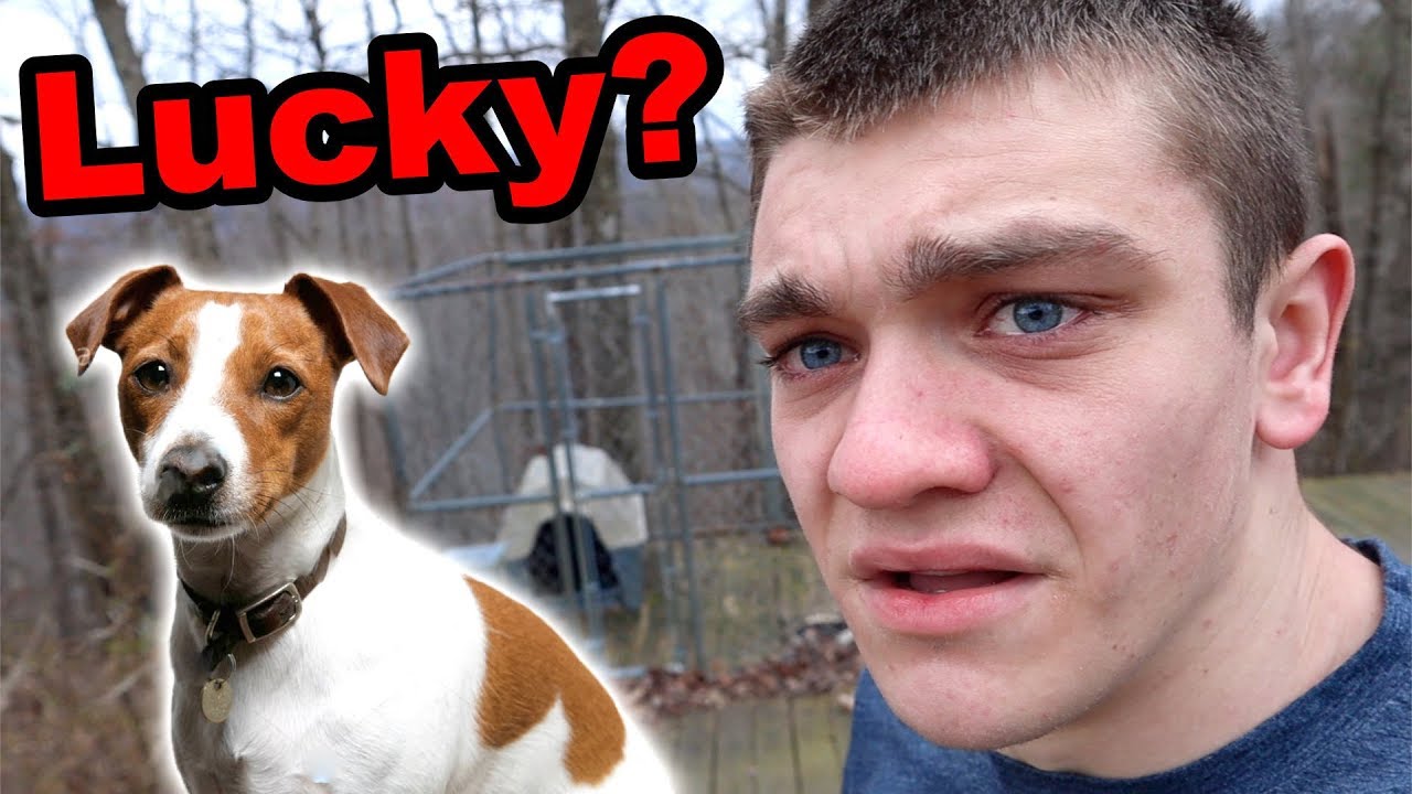 Где Лаки? (НАСТОЯЩАЯ история)