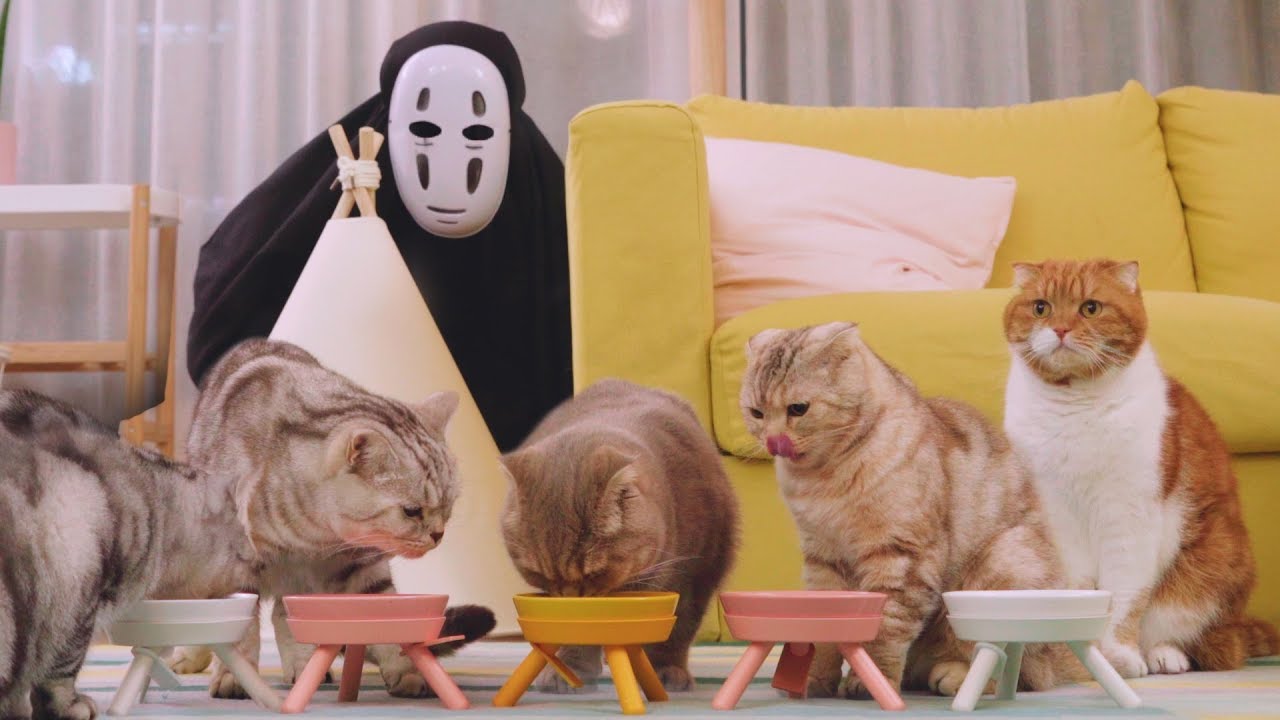 Каонаши кормит кошек.