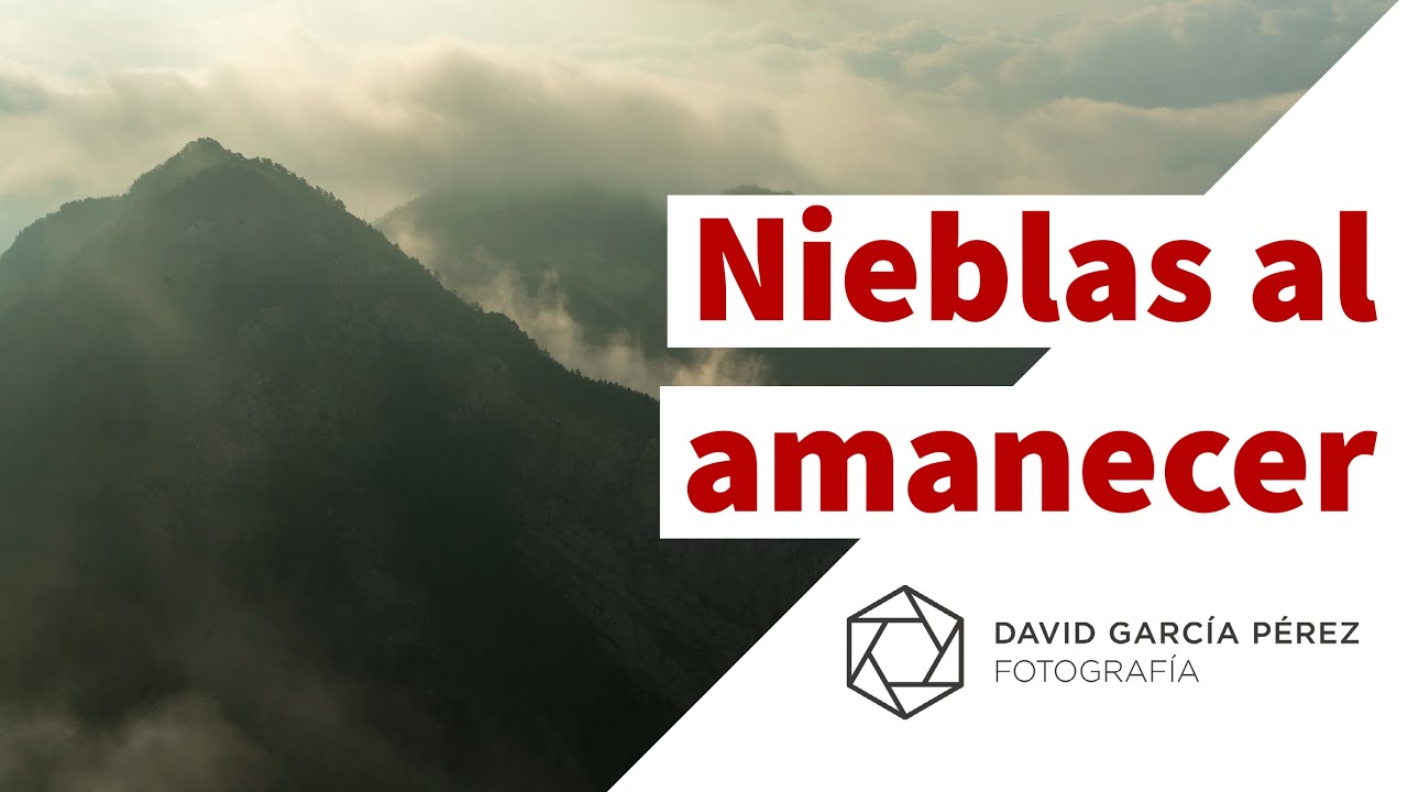 Nieblas al amanacer