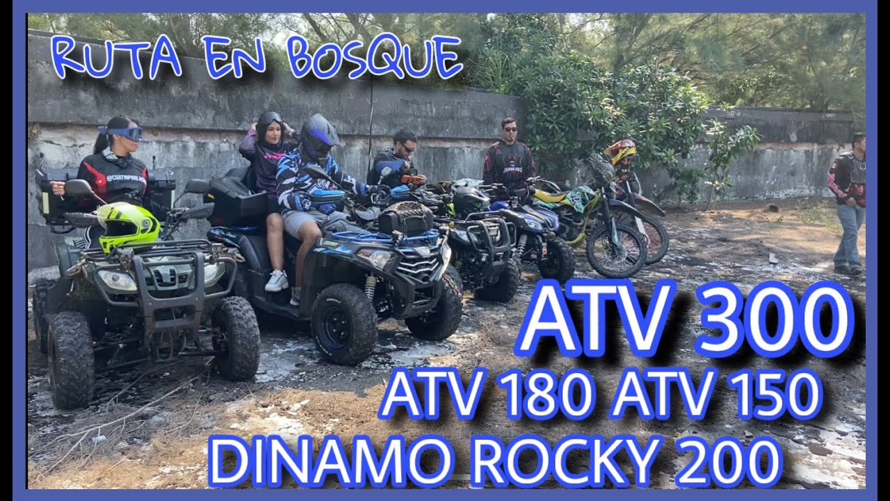 ATV 300 contra todas las demas cuatrimotos en el BOSQUE