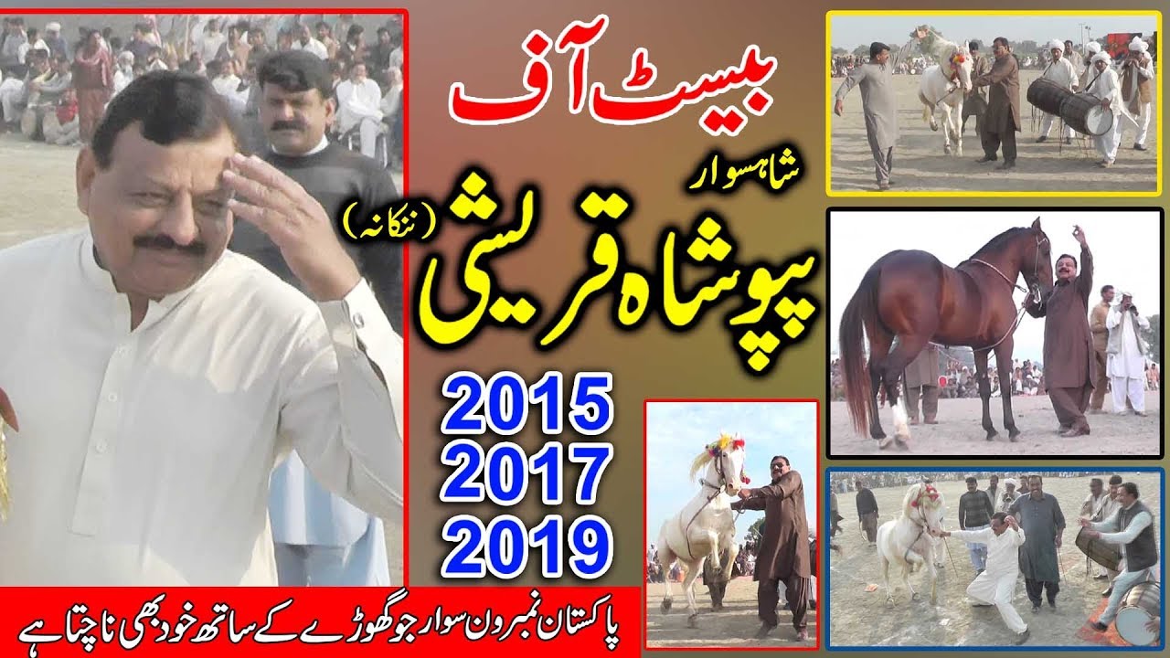 Best Of Papoo Shah Qurashi Nankana 2019 / Best Horse Dance Trainer  in Punjab Pakistan