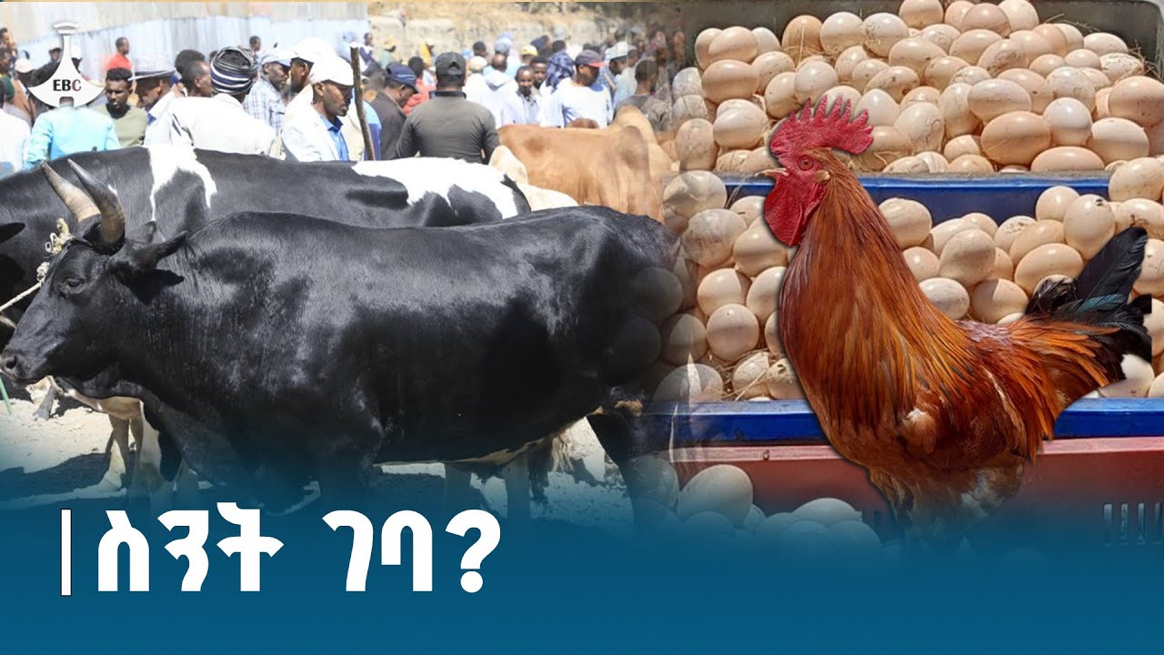 በተለያዩ አካባቢዎች የበዓል ገበያ እንዴት ዋለ? ETV | EBC | EBCDOTSTREAM