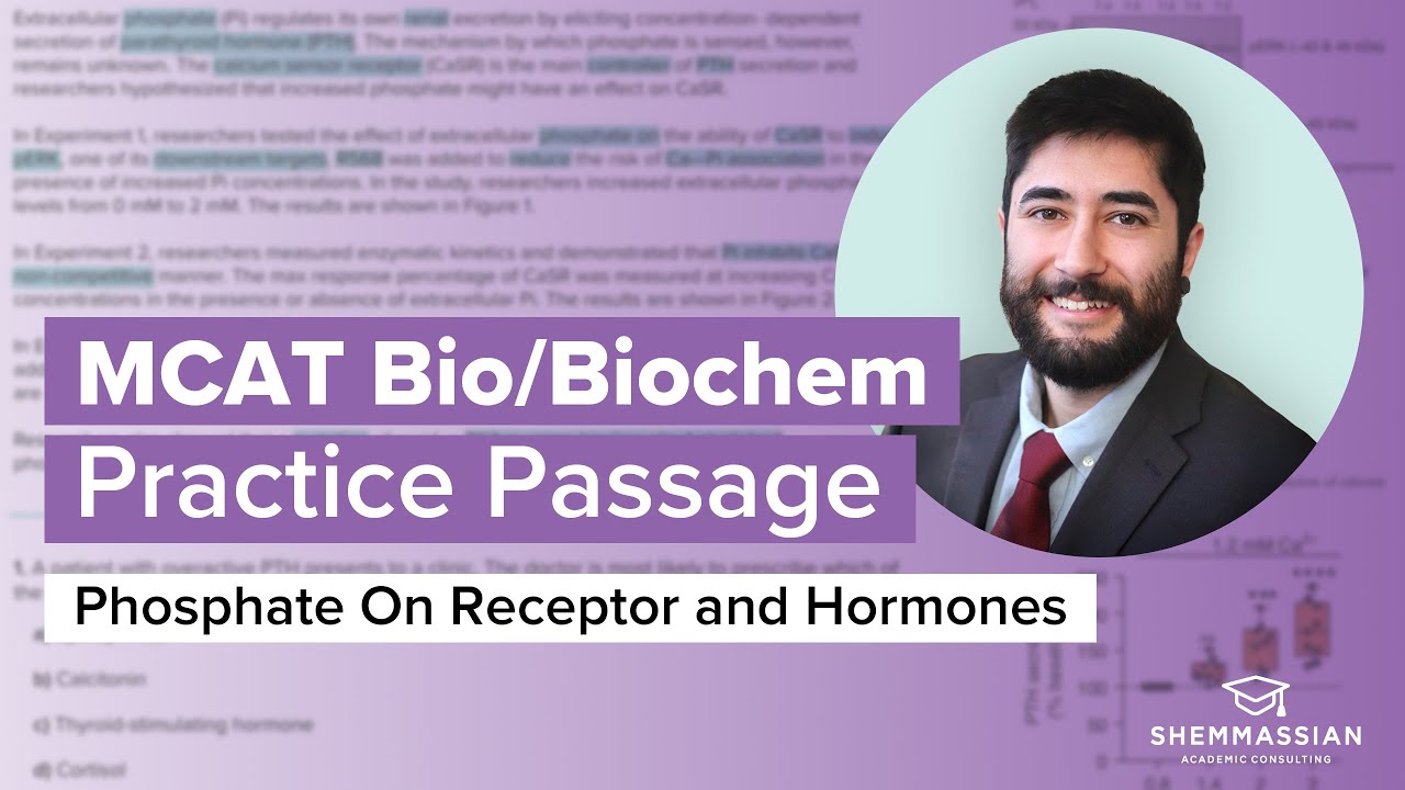 How To Ace the MCAT: Exploring Phosphate Effects On Receptors and Hormones
