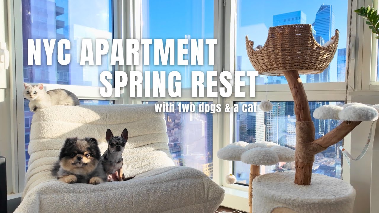 Ultimate spring reset in our NYC apartment w/ two dogs & a cat