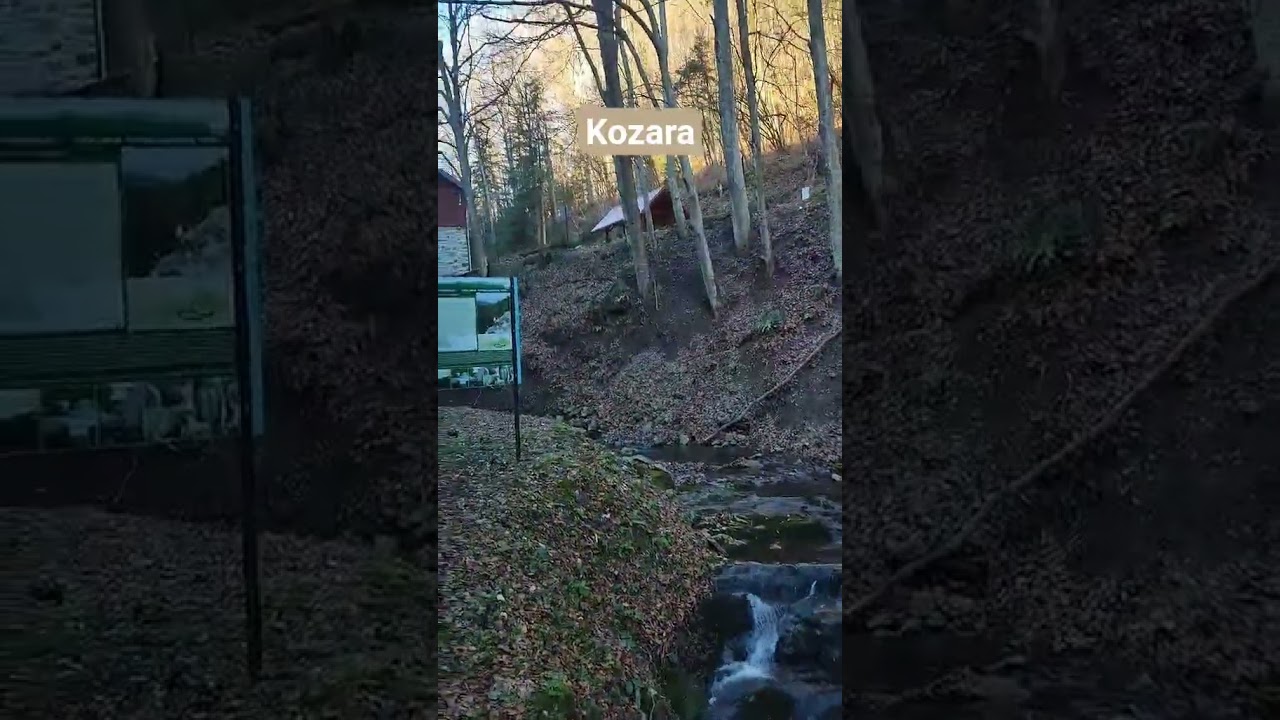 Šapat Kozare: Planinski mir pored potoka Kotlovača 🌲💧 Serenity at Kotlovača Mountain Hut #Kotlovača