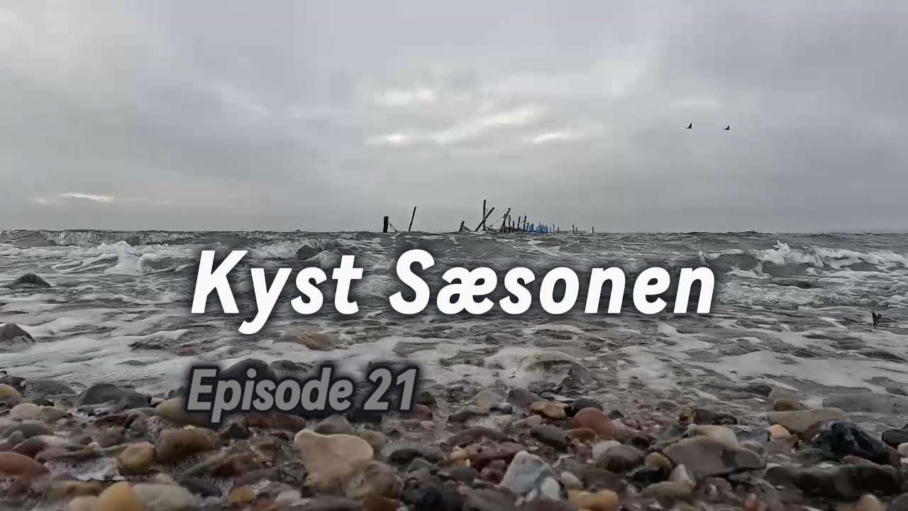 Kystfluefiskeri efter Havørred - Episode 21