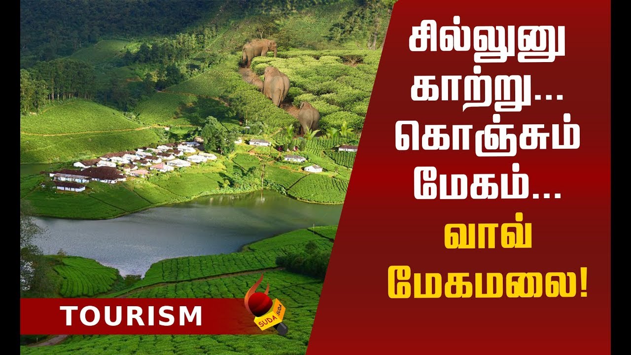 மேகமலை போறீங்களா... அப்போ இதையெல்லாம் மிஸ் பண்ணாதிங்க!