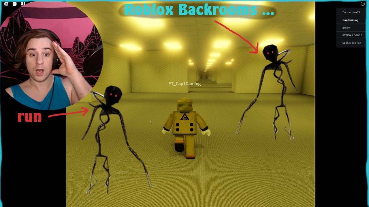 This ROBLOX Backrooms game is SCARY ( red panda industries backrooms game )