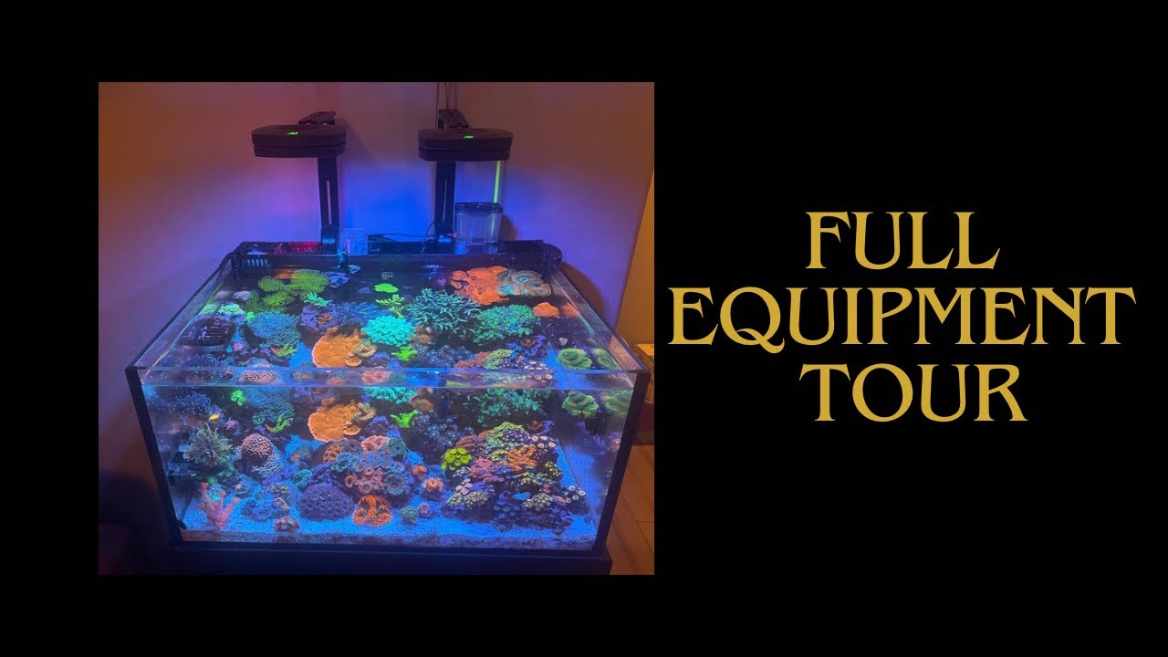 Full Reef Tank Equipment Tour. Here Are All The Products and Equipment I Use In My Nano Reef Tank!