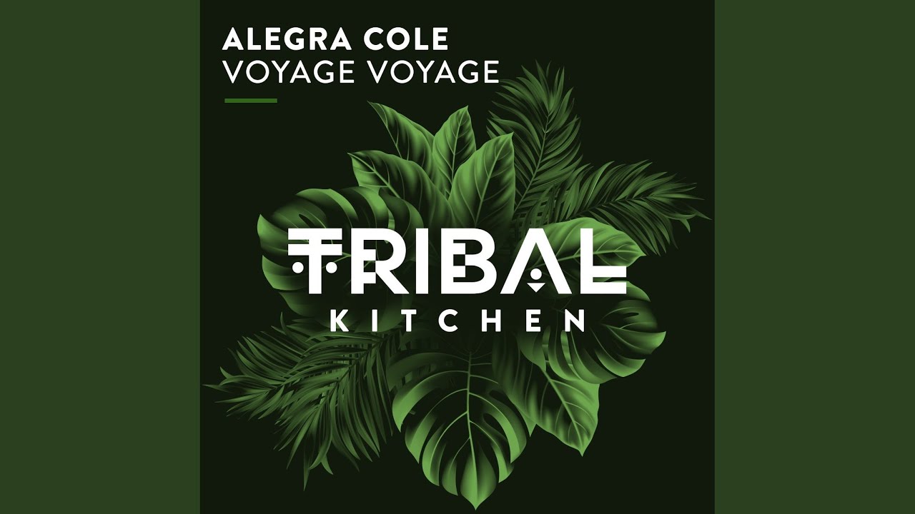 Voyage Voyage (Extended Mix)