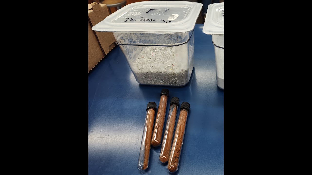 CarbonMeta Waste Plastics Catalysis; Phase II Pilot - Processing