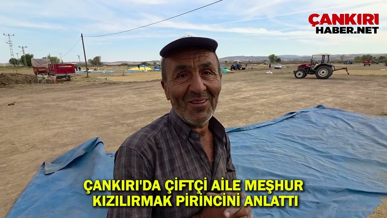 Çankırı'da çiftçi aile meşhur Kızılırmak pirincini anlattı