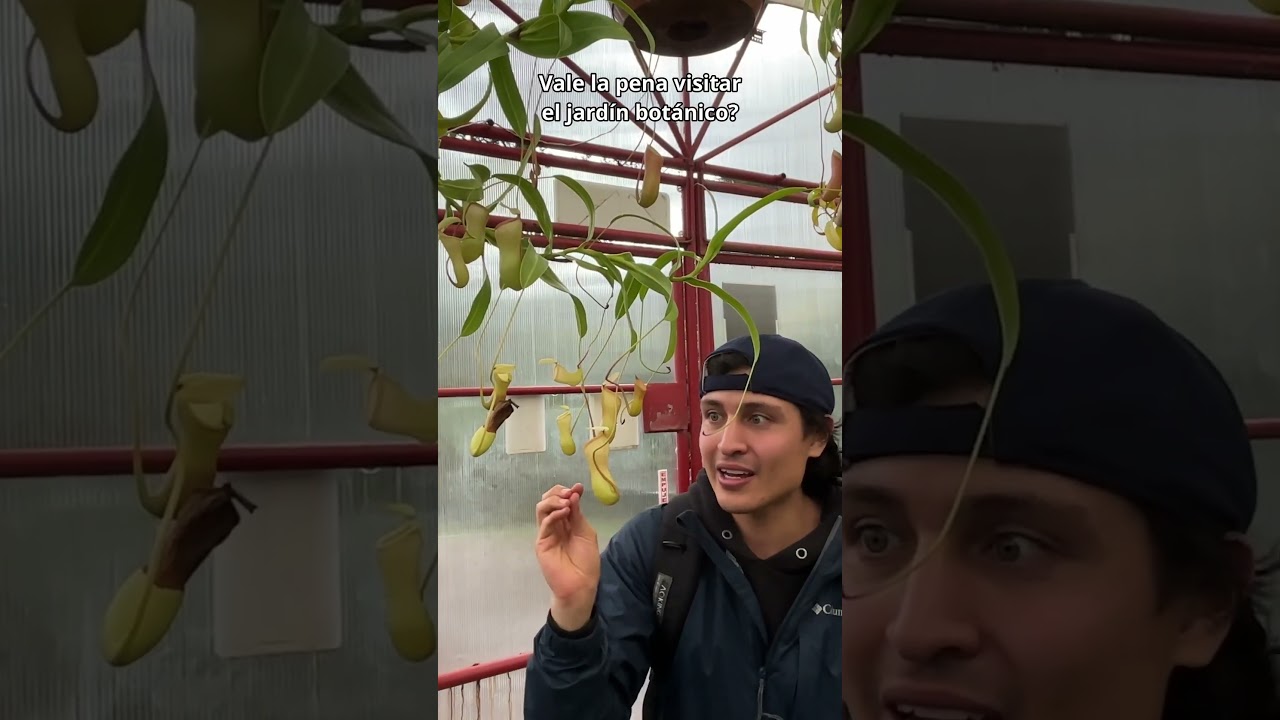 JB 2 #vlog #entretenimiento #ecuador #influencer #explorando #naturaleza