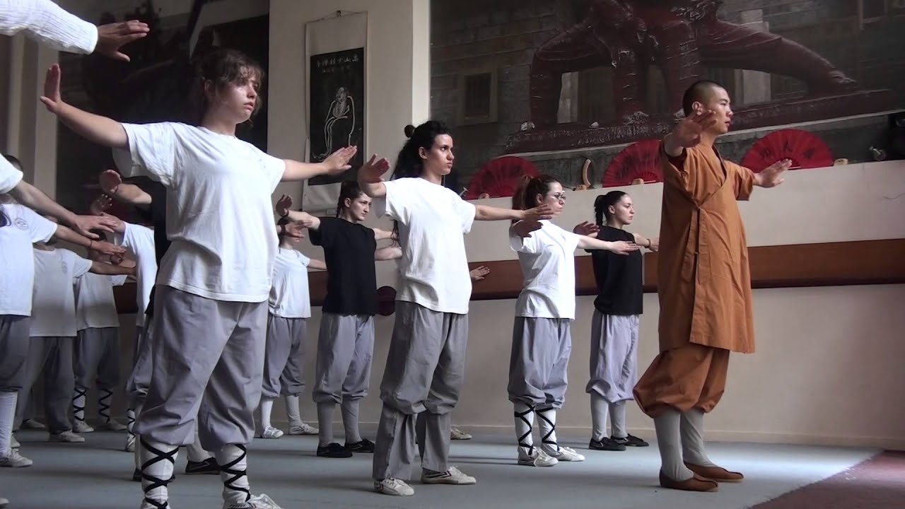 Shi YanTi - ShaoLin  XiSuiJing- ZhengShenShi  少林洗髓经《正身式》