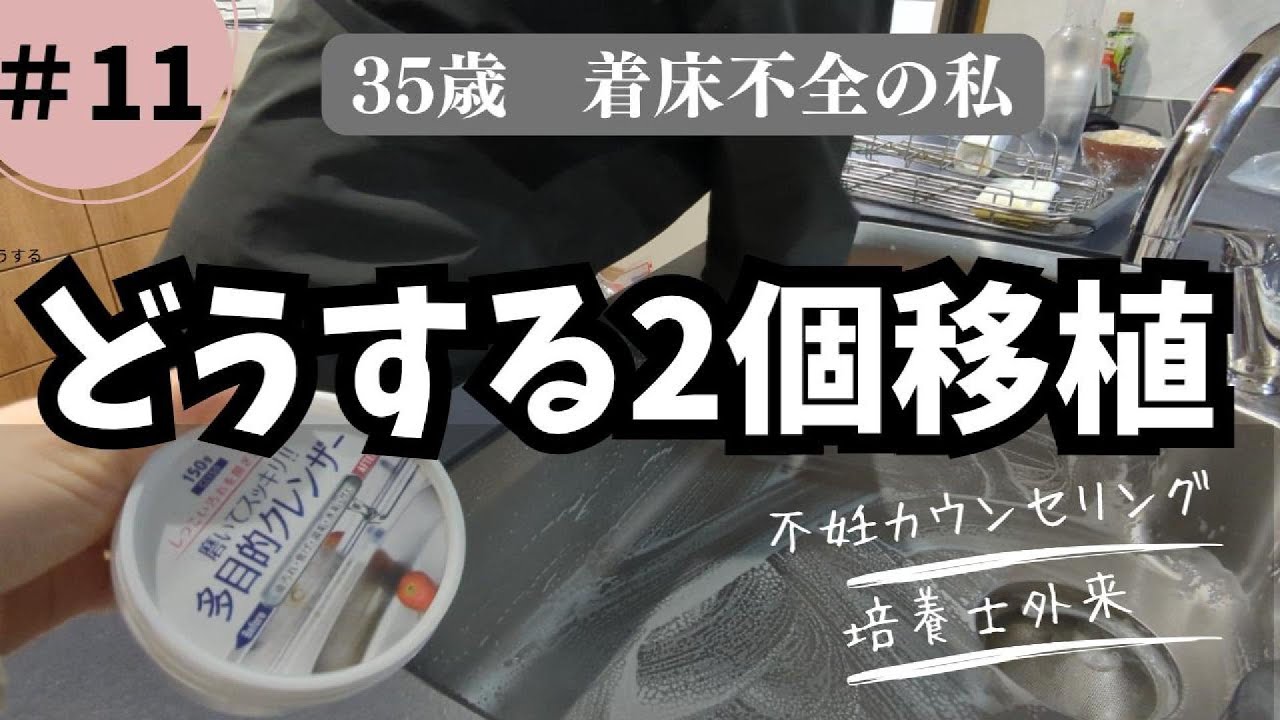 【不妊治療】やっぱり怖い２個移植/残り２回の保険移植で妊娠したい！