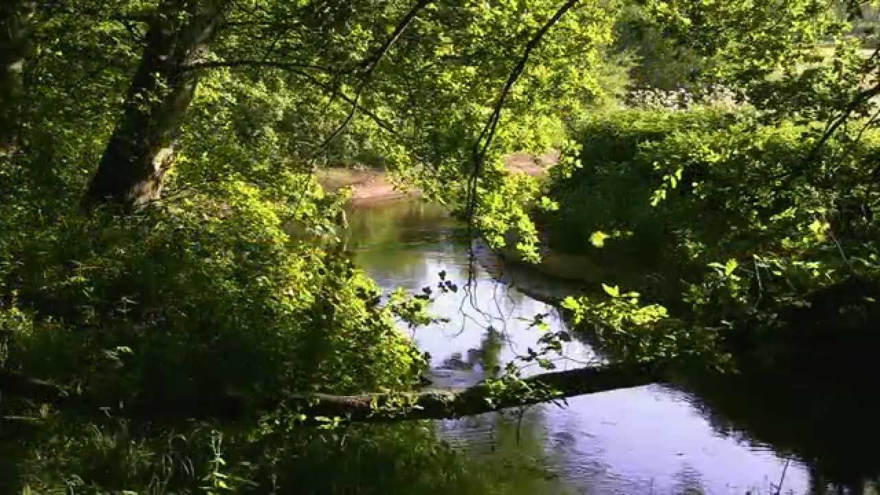 Mijn Dinkel - 04-05 Omgeving Lutterzand